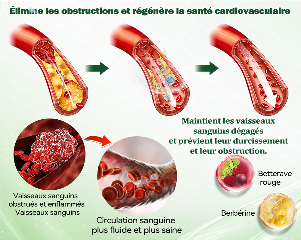🇫🇷 Nouveauté 2026丨 Purelora® Moringa Berbérine x NAD+ Patch Nano-Microneedle 10-en-1 Une application par jour, changements visibles dès 7 jours. Pour accompagner la gestion du poids et le bien-être global