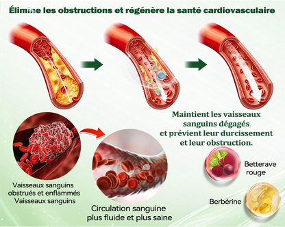 🇫🇷 Nouveauté 2026丨 Purelora® Moringa Berbérine x NAD+ Patch Nano-Microneedle 10-en-1 Une application par jour, changements visibles dès 7 jours. Pour accompagner la gestion du poids et le bien-être global