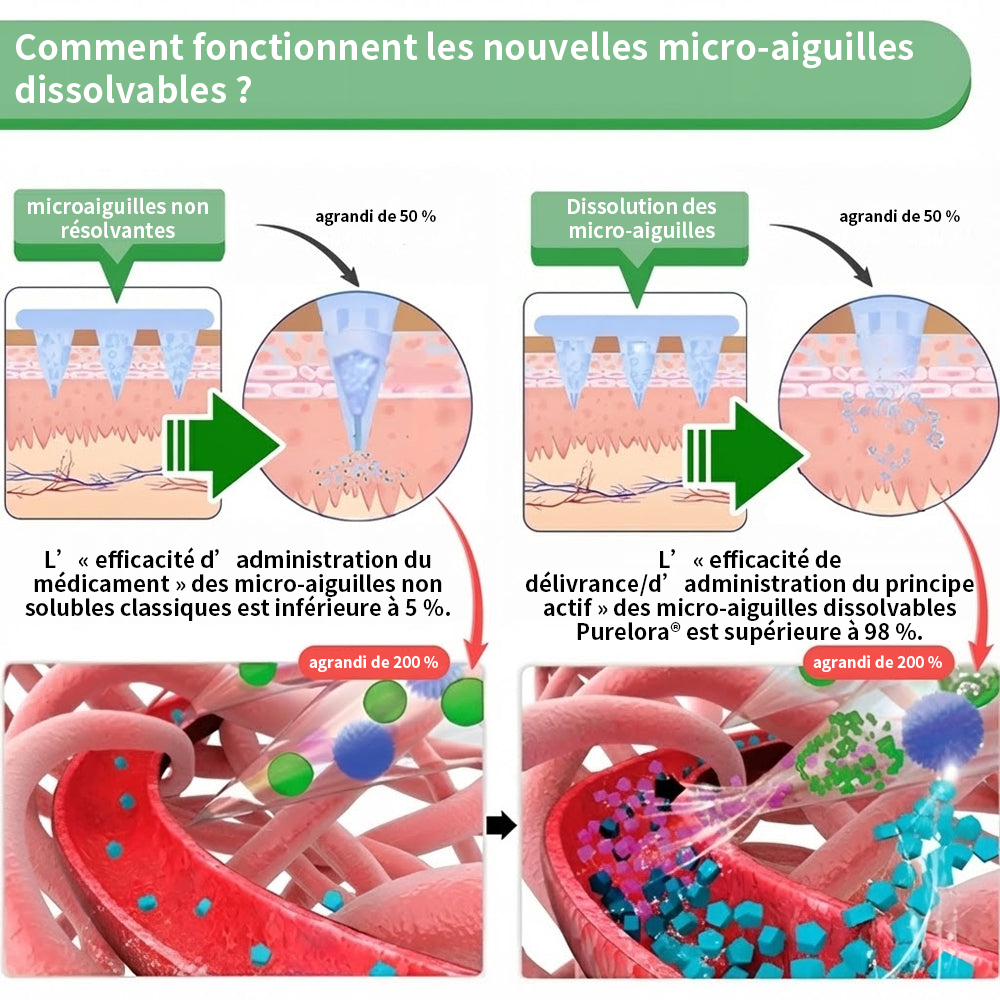🇫🇷 Nouveauté 2026丨 Purelora® Moringa Berbérine x NAD+ Patch Nano-Microneedle 10-en-1 Une application par jour, changements visibles dès 7 jours. Pour accompagner la gestion du poids et le bien-être global