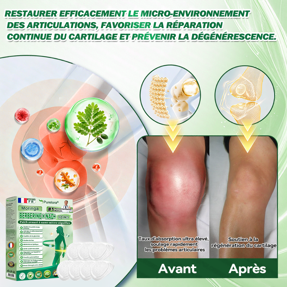 🇫🇷 Nouveauté 2026丨 Purelora® Moringa Berbérine x NAD+ Patch Nano-Microneedle 10-en-1 Une application par jour, changements visibles dès 7 jours. Pour accompagner la gestion du poids et le bien-être global