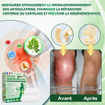 🇫🇷 Nouveauté 2026丨 Purelora® Moringa Berbérine x NAD+ Patch Nano-Microneedle 10-en-1 Une application par jour, changements visibles dès 7 jours. Pour accompagner la gestion du poids et le bien-être global