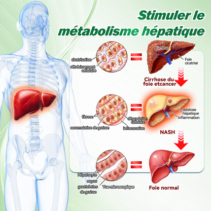 🇫🇷 Nouveauté 2026丨 Purelora® Moringa Berbérine x NAD+ Patch Nano-Microneedle 10-en-1 Une application par jour, changements visibles dès 7 jours. Pour accompagner la gestion du poids et le bien-être global.