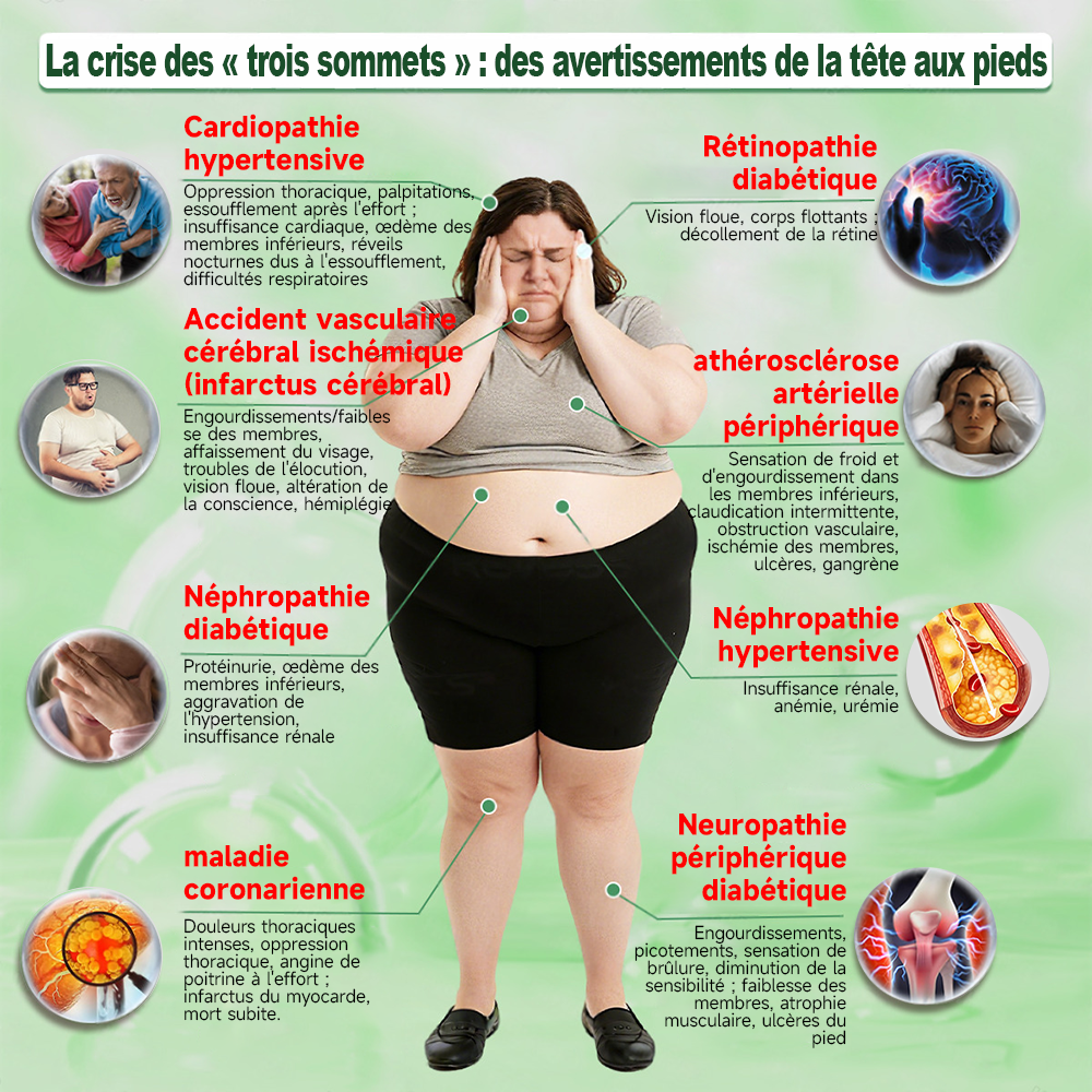 Purelora® Berberine × Chromium Complete Metabolic Rhythm Kit (🌀 Patch externe quotidien + Poudre de soutien métabolique hebdomadaire) ✅ Pour l’équilibre métabolique, le soutien de la glycémie, la circulation et la santé métabolique globale