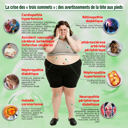 Purelora® Berberine × Chromium Complete Metabolic Rhythm Kit (🌀 Patch externe quotidien + Poudre de soutien métabolique hebdomadaire) ✅ Pour l’équilibre métabolique, le soutien de la glycémie, la circulation et la santé métabolique globale