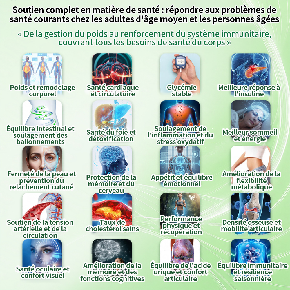 🇫🇷 Nouveauté 2026丨 Purelora® Moringa Berbérine x NAD+ Patch Nano-Microneedle 10-en-1 Une application par jour, changements visibles dès 7 jours. Pour accompagner la gestion du poids et le bien-être global