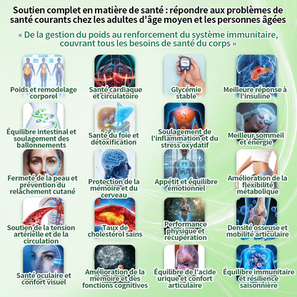 🇫🇷 Nouveauté 2026丨 Purelora® Moringa Berbérine x NAD+ Patch Nano-Microneedle 10-en-1 Une application par jour, changements visibles dès 7 jours. Pour accompagner la gestion du poids et le bien-être global
