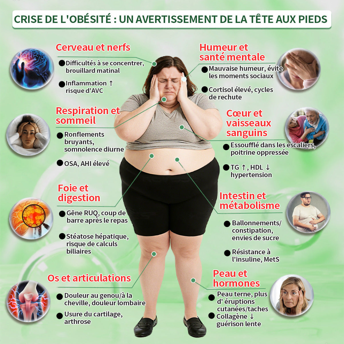 Pharmacie Officielle 🇫🇷🏥 | Purelora® Berbérine 20-en-1 – Sérum Minceur & Bien-être + Patch Nano Microneedle (1 fois par jour, résultats visibles en 7 jours) ✅ Obésité, Diabète, Apnée du sommeil, Problèmes articulaires