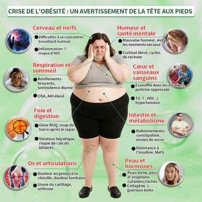 Pharmacie Officielle 🇫🇷🏥 | Purelora® Berbérine 20-en-1 – Sérum Minceur & Bien-être + Patch Nano Microneedle (1 fois par jour, résultats visibles en 7 jours) ✅ Obésité, Diabète, Apnée du sommeil, Problèmes articulaires