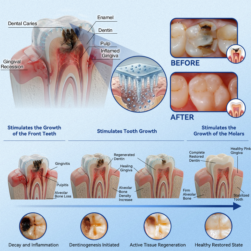 🏥 Pharmacie en Ligne | purelora® 😁 Bandes Buccales Tideglusib à Dissolution Rapide pour Dents & Gencives 🦷