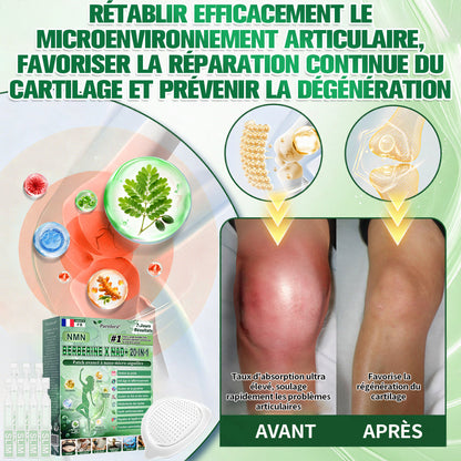 Pharmacie Officielle 🇫🇷🏥 | Purelora® Berbérine 20-en-1 – Sérum Minceur & Bien-être + Patch Nano Microneedle (1 fois par jour, résultats visibles en 7 jours) ✅ Obésité, Diabète, Apnée du sommeil, Problèmes articulaires